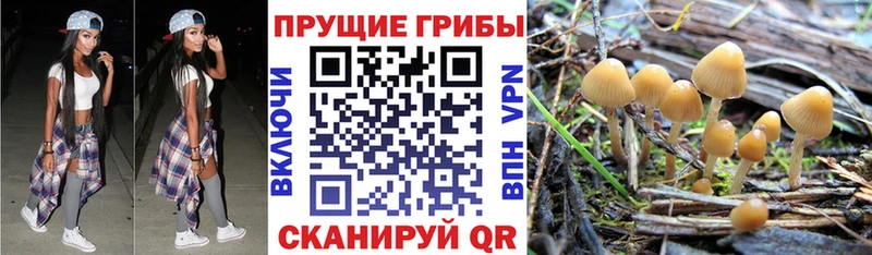 Псилоцибиновые грибы Psilocybe  Купить  Лабытнанги 